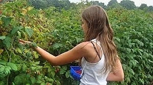 Глад за български работници във Великобритания