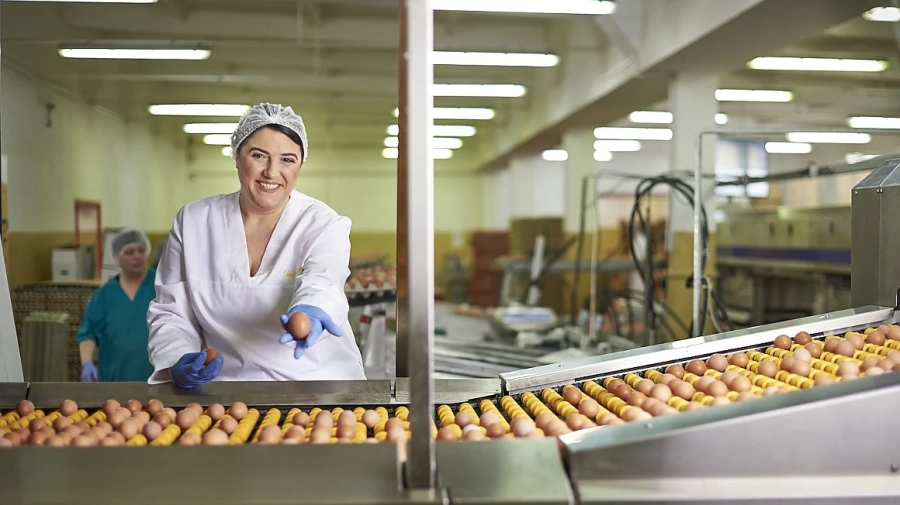 Kaufland България предлага целогодишно основно български яйца от шест региона у нас 