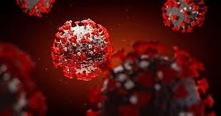 81 са новите случаи на COVID-19 у нас за последното денонощие, има нови жертви