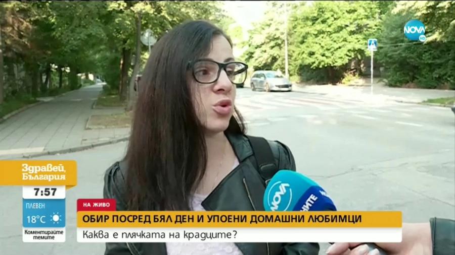 Крадци упоиха домашните любимци на семейство и обраха апартамента им в София (ВИДЕО)