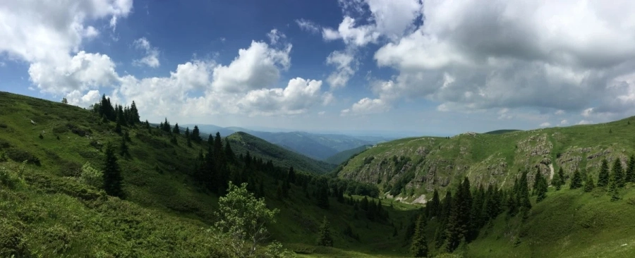 Сагата Витоша и Фандъкова