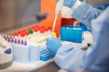 270 са новите случаи на коронавирус, 8 души починаха