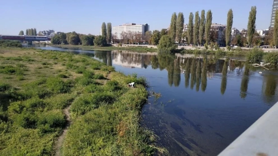 Пробите на водата в река Марица са в норма