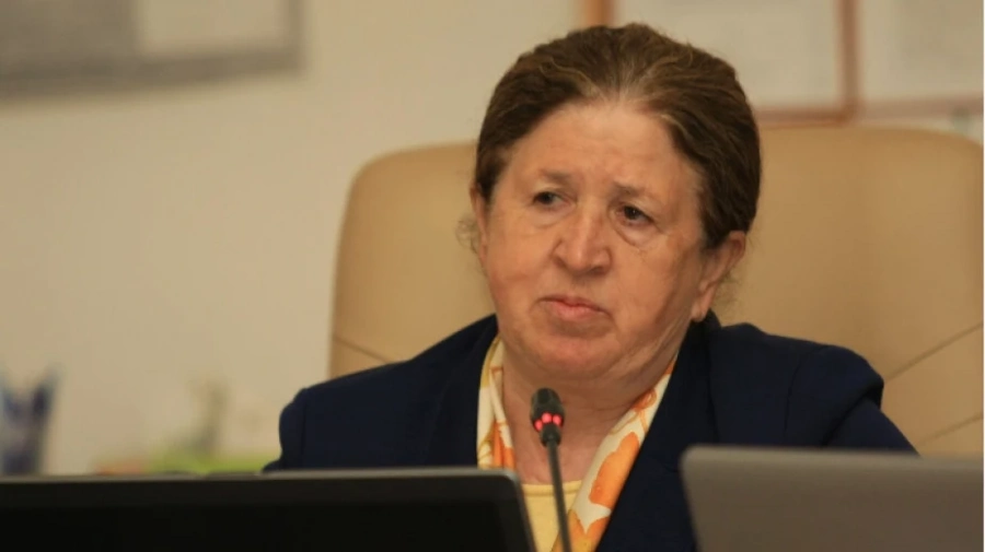 Председателят на ЦИК Стефка Стоева подава оставка