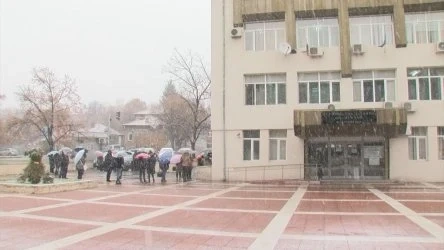 Издаването на е-направления за PCR тест от личните лекари тръгна с технически трудности