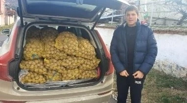 Фирми изкупуват картофи и ги даряват
