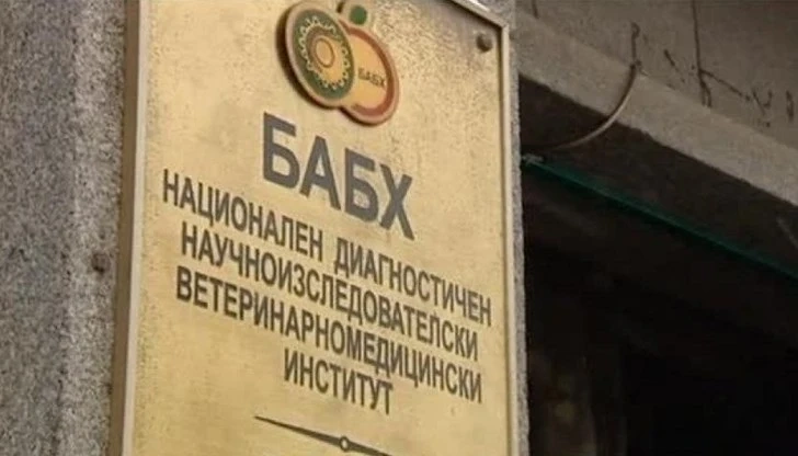 Доказано. Има нарушения за милиони в Агенцията за безопасност на храните 