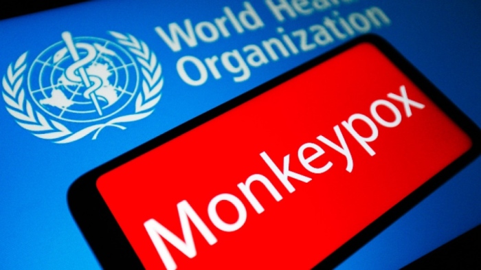Гърция установи първи случай на маймунска шарка 