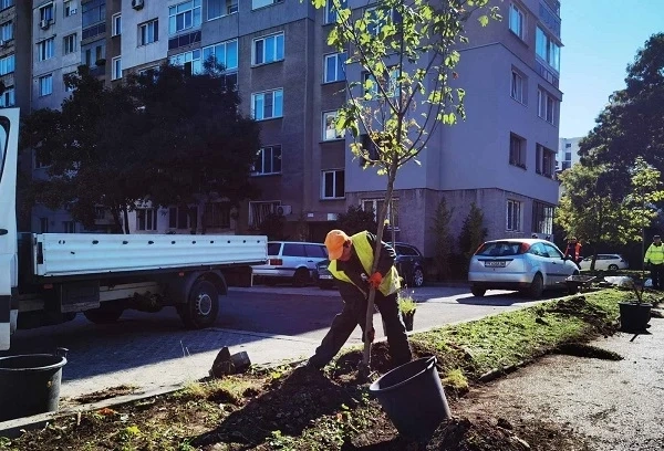  Близо 100 са облагородените междублокови пространства в София