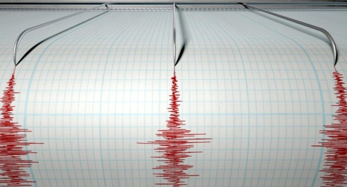 Силно земетресение в Румъния бе усетено и в България