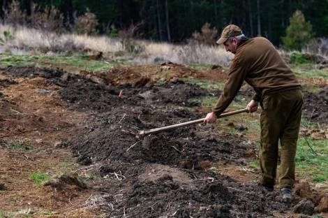  Горското стопанство в Панагюрище залеси по иновативен метод с помощта на Асарел Медет 