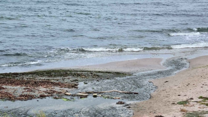 Четири министерства проверяват мръсна ли е водата по Черноморието ни