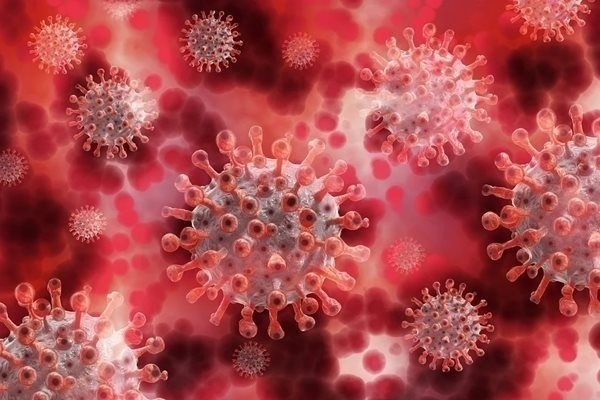 Новите случаи на коронавирус у нас са 98