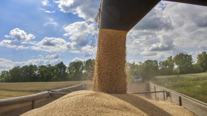 България и още 4 държави искат мита върху украинския внос на зърно
