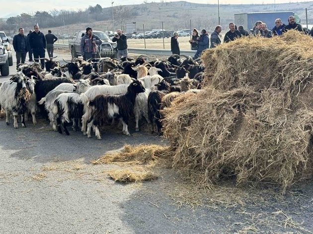 Български фермерски съюз иска създаването на Гаранционен фонд и намаляване на акцизи и такси