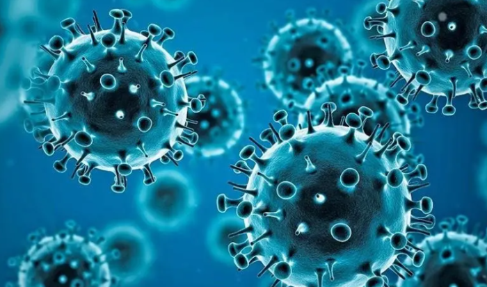 14 са новите случаи на коронавирус у нас