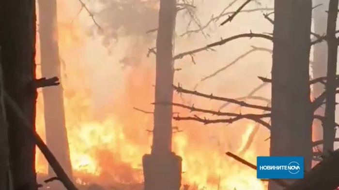 Два големи пожара избухнаха край Копривщица