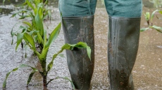 Български фермерски съюз иска да се създаде гаранционен фонд за щети в земеделието