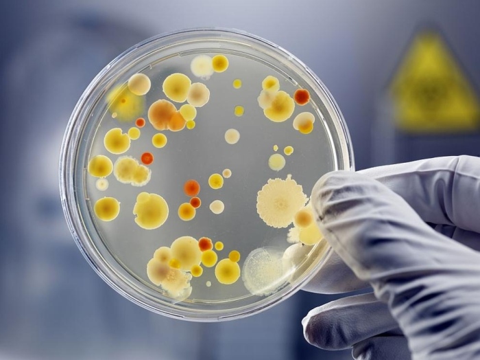 Учени откриха антибиотик, който щади добрите бактерии