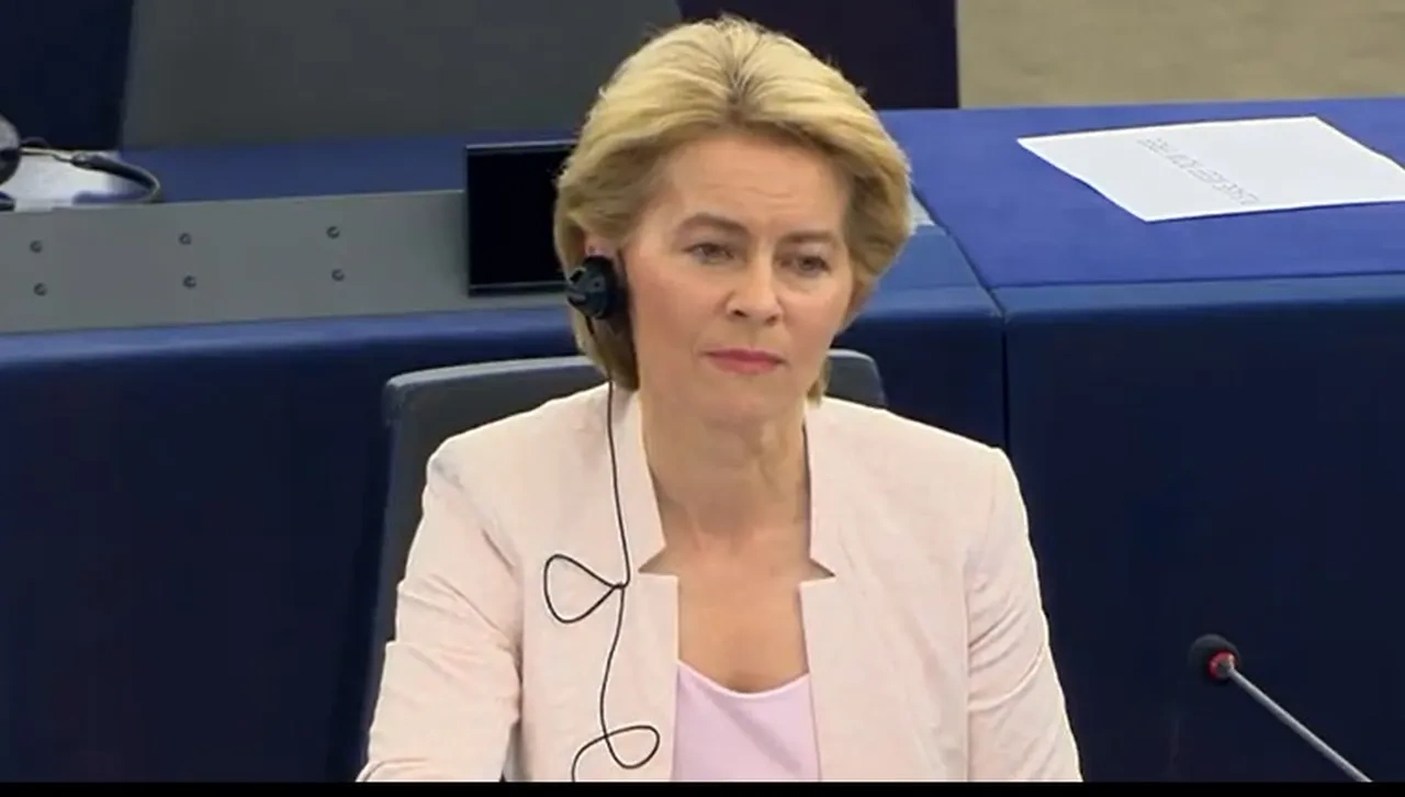 Тя се опитва да хване бика за рогата заяви френски