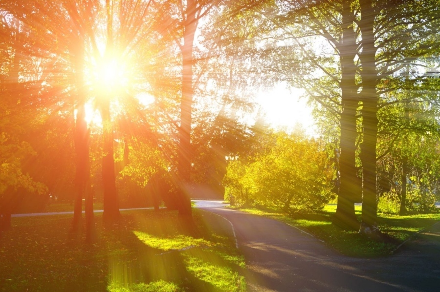 През деня ще бъде слънчево над западната половина от страната с разкъсана