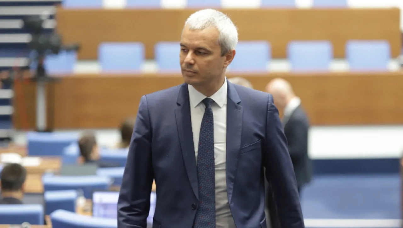 Искат разпускане на Конституционния съд и ЦИК разпускане и ликвидиране