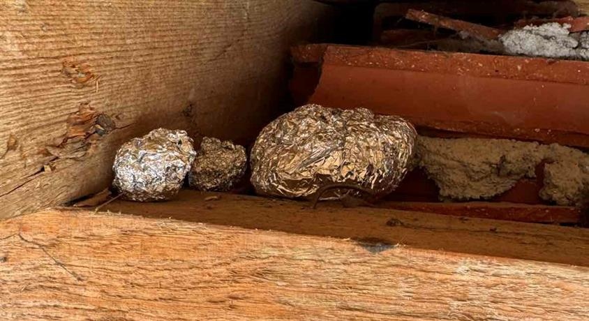 Полицейските действия са реализирани вчера от служители на сектор Противодействие