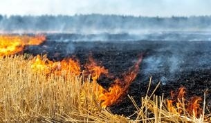 Голям пожар избухна край Благоевградско
