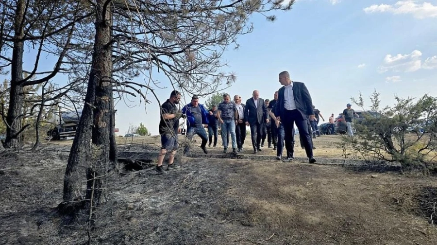 Властта: Пожарите струват милиони, нужни са поне 3 години за наши самолети за гасене