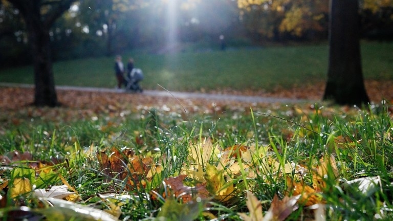Седмицата започва със слънце