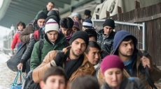 Берлин предлага пари на афганистанци, за да не емигрират в Германия