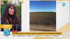 Застреляха куче в Русенско, докато стопанката му го разхожда