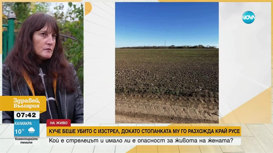 Застреляха куче в Русенско, докато стопанката му го разхожда