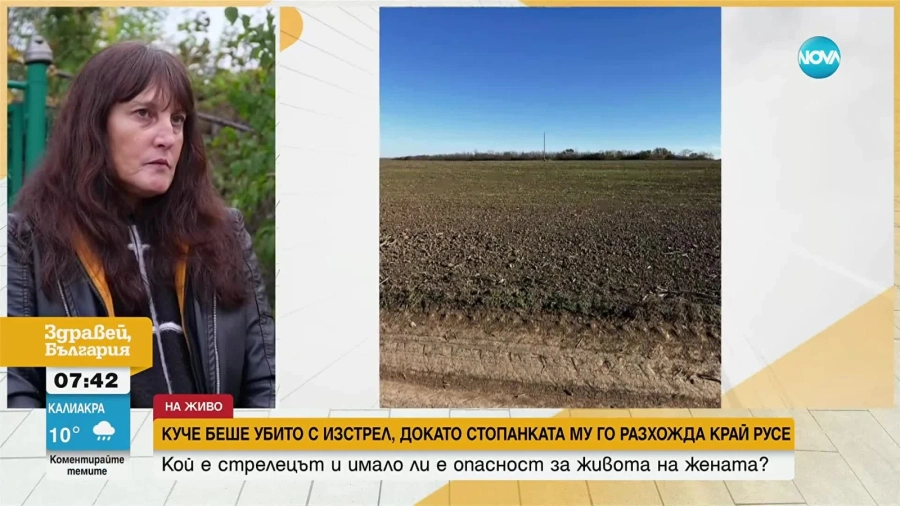 Застреляха куче в Русенско, докато стопанката му го разхожда