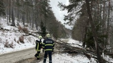 Бурен вятър от близо 100 км/ч: 90 сигнала и денонощие без почивка за огнеборците в Пловдивско