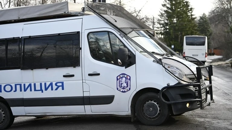 10 са собствениците на парцела с дървото, убило жена на Витоша