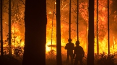Провалът на климатичните политики ни води към катастрофа