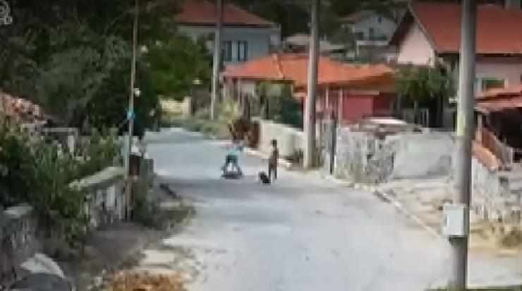 Деца връзват, влачат и душат куче