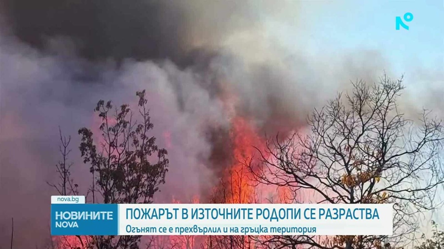 Пожарът в Източните Родопи продължава да се разраства, стигна до Гърция